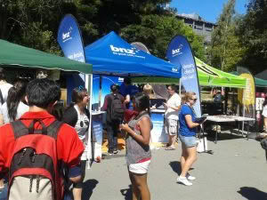 Colourbox_BNZ_Gazebo_Flag
