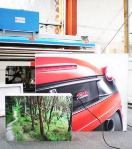 car and tree lightboxes front on