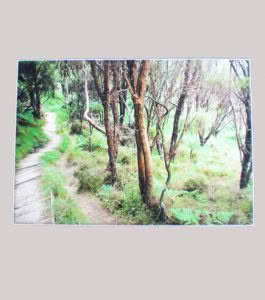 tree lightbox